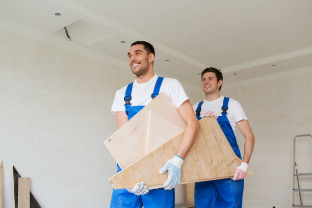 Best Yard Waste Removal  in Warren, MI