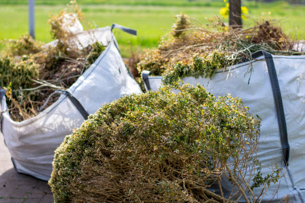 Best Shed Removal  in Warren, MI